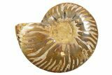 Cut & Polished Ammonite Fossil (Half) - Madagascar #318089-1